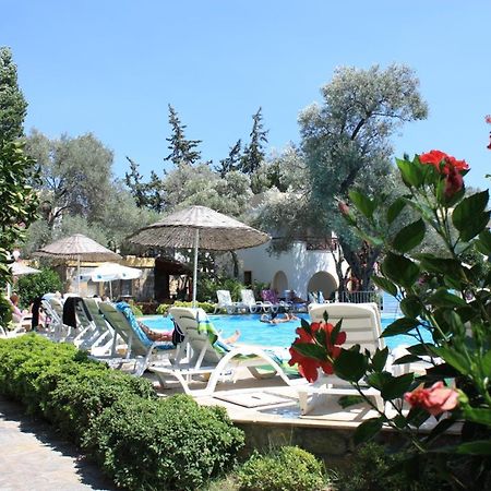 بودروم Toloman Bitezpark Apartments المظهر الخارجي الصورة
